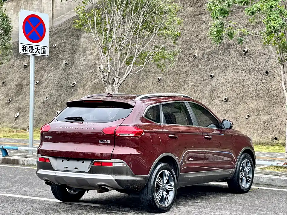 Leopaard Cheetah CS10