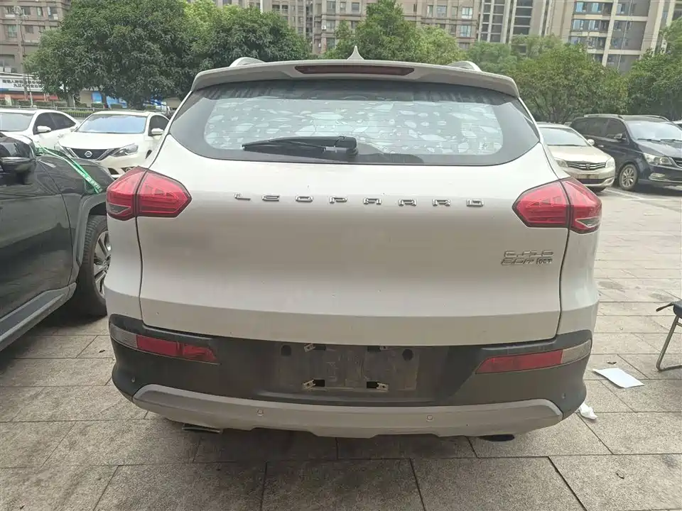 Leopaard Cheetah CS10