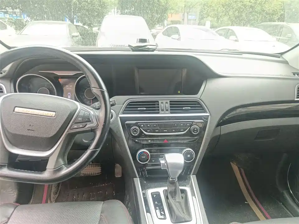 Leopaard Cheetah CS10