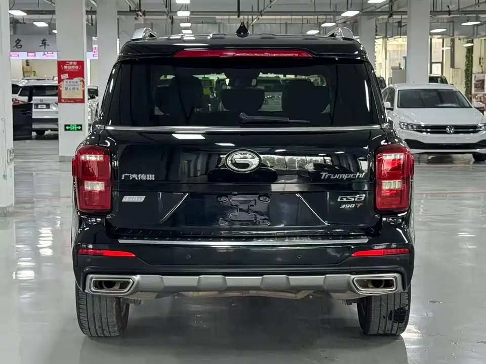 Trumpchi Trumpchi GS8