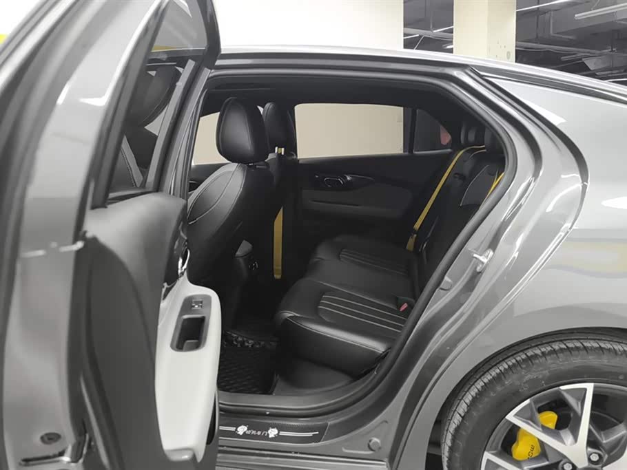 Trumpchi Shadow Leopard