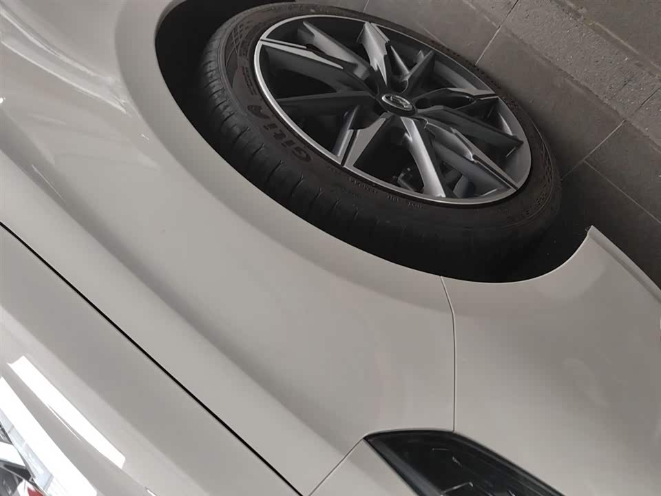 Trumpchi Shadow Leopard