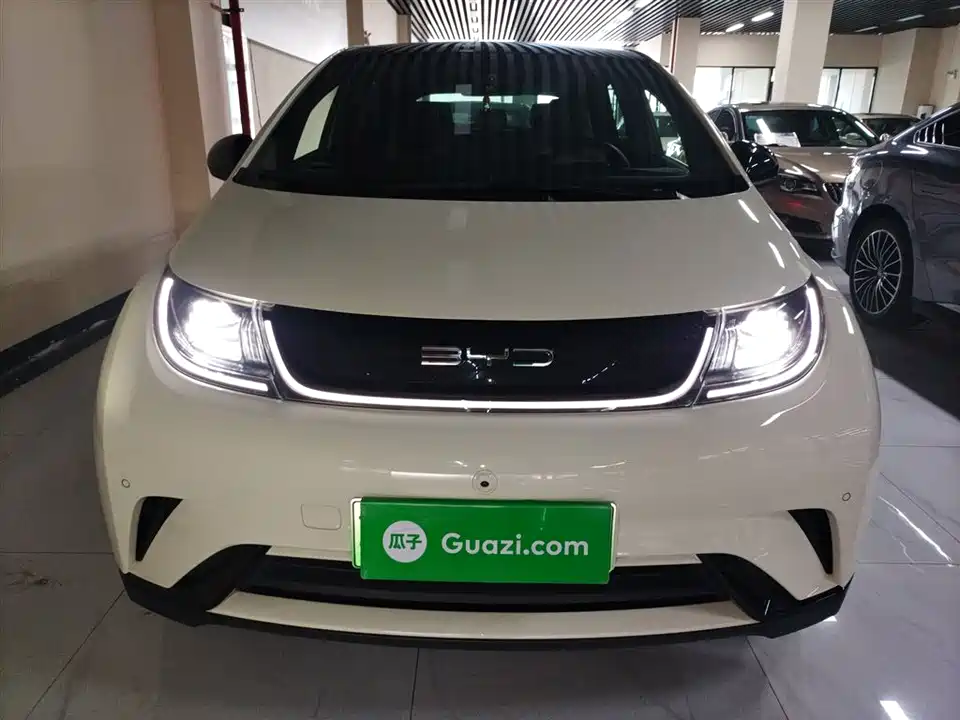 BYD dolphin