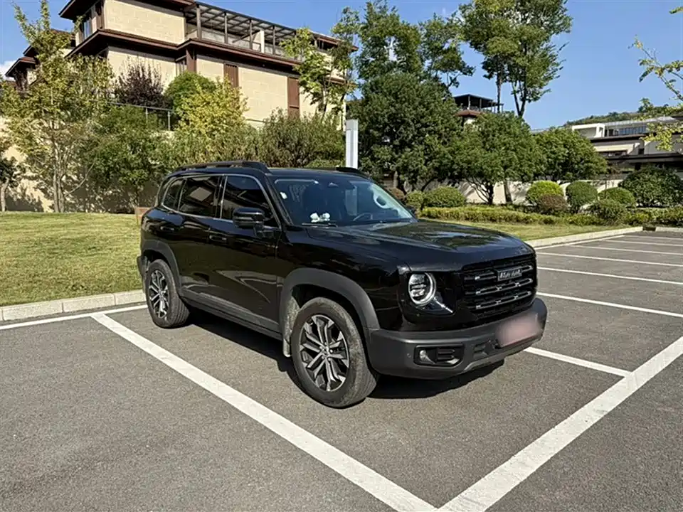 Haval Big dog