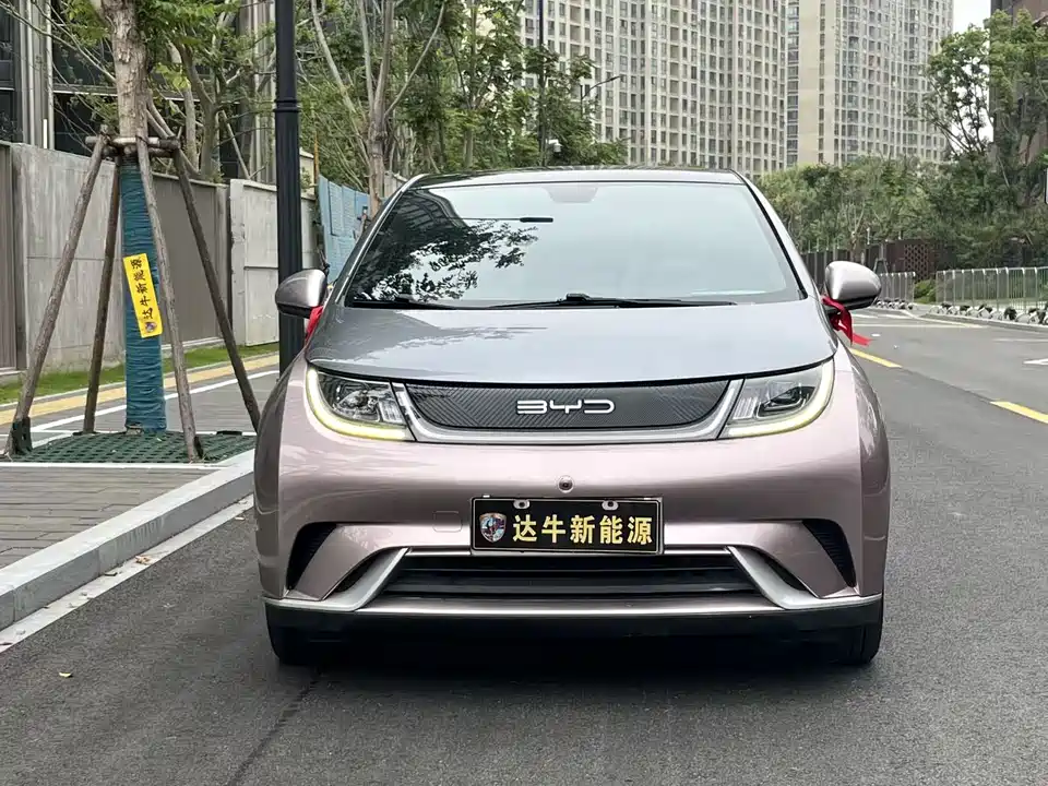 BYD dolphin