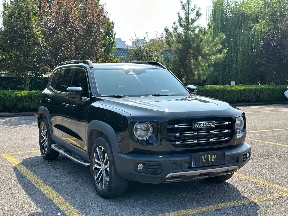 Haval Big dog