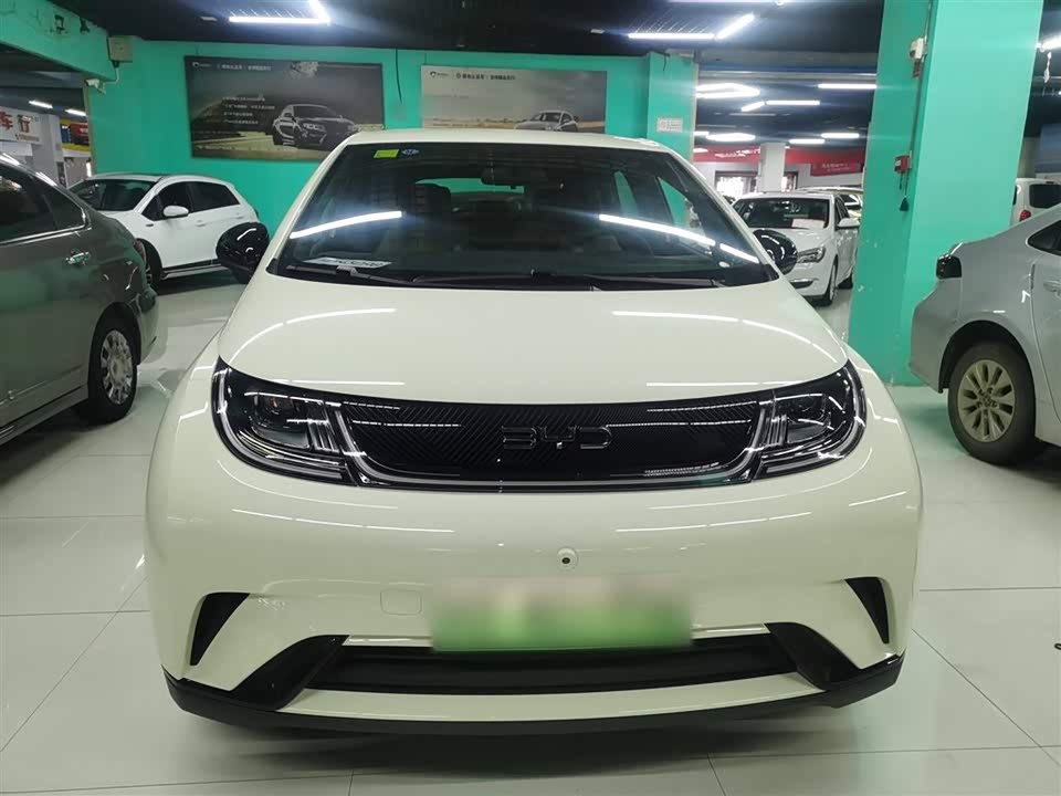 BYD dolphin