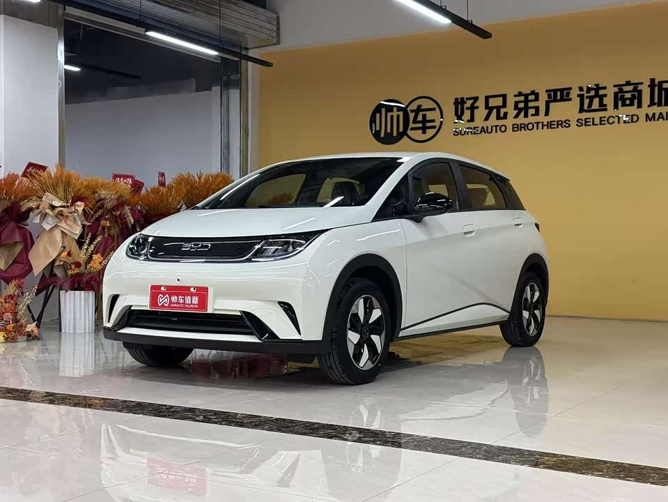 BYD dolphin