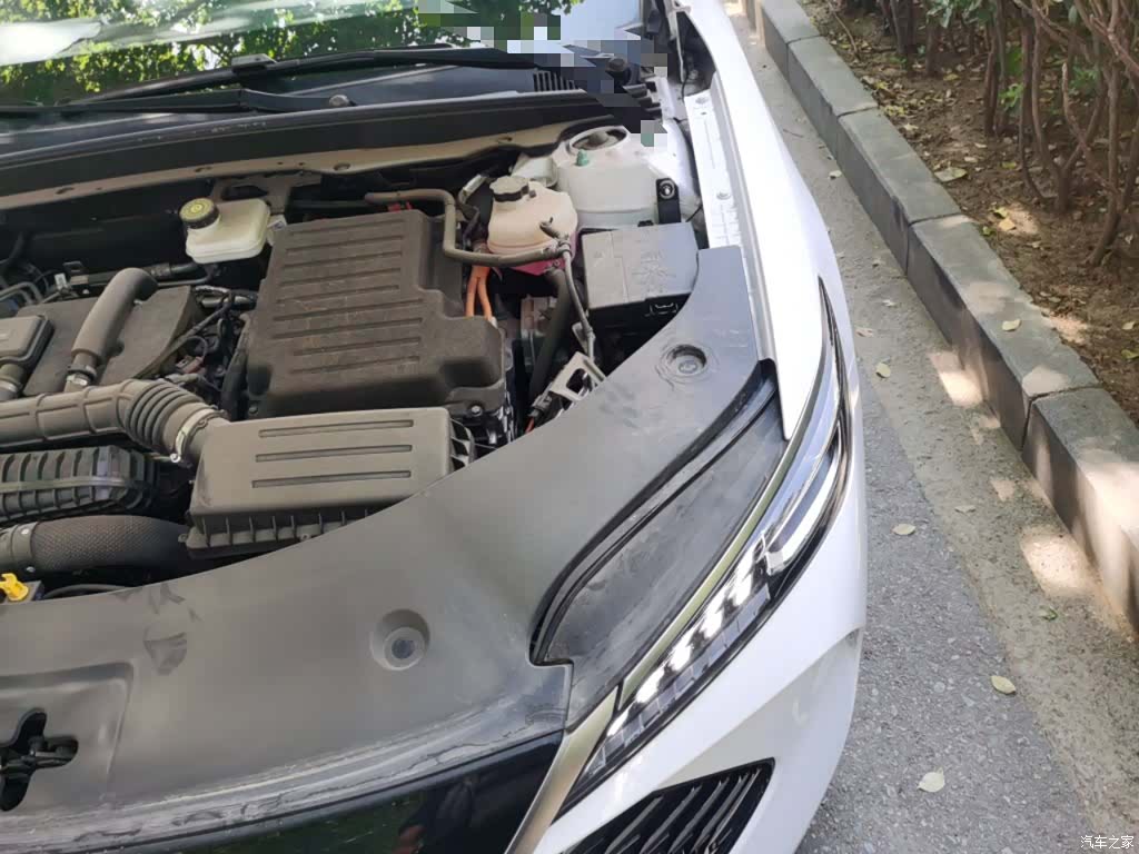 BYD Qin, 2025 22