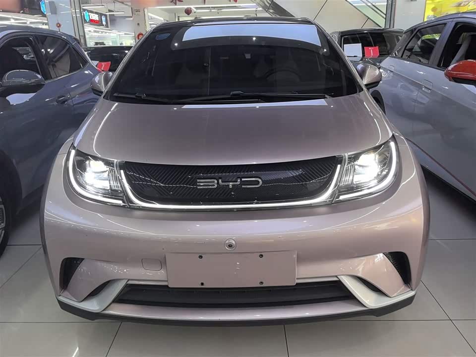 BYD dolphin