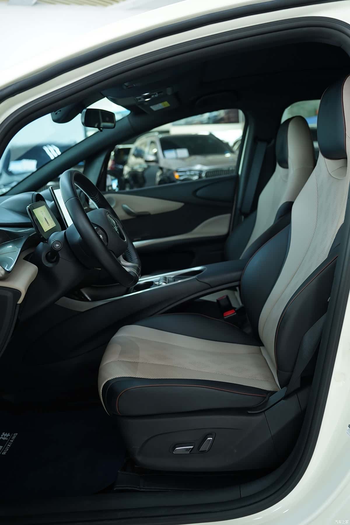 BYD Dolphin, 2023 4
