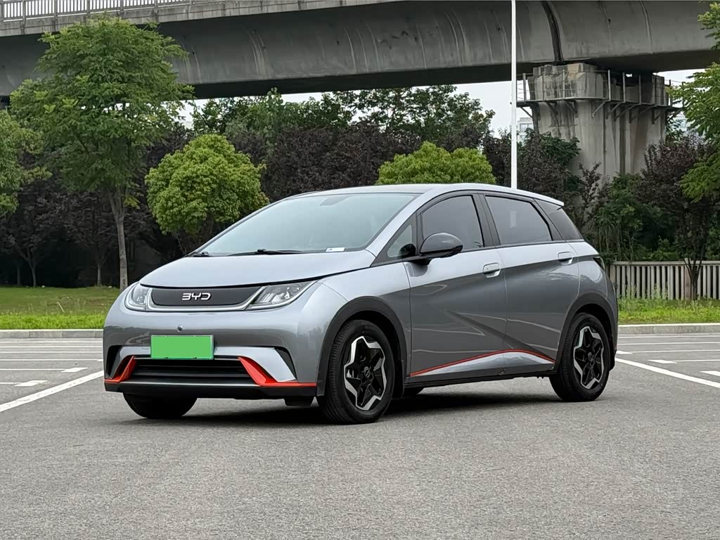 BYD Dolphin