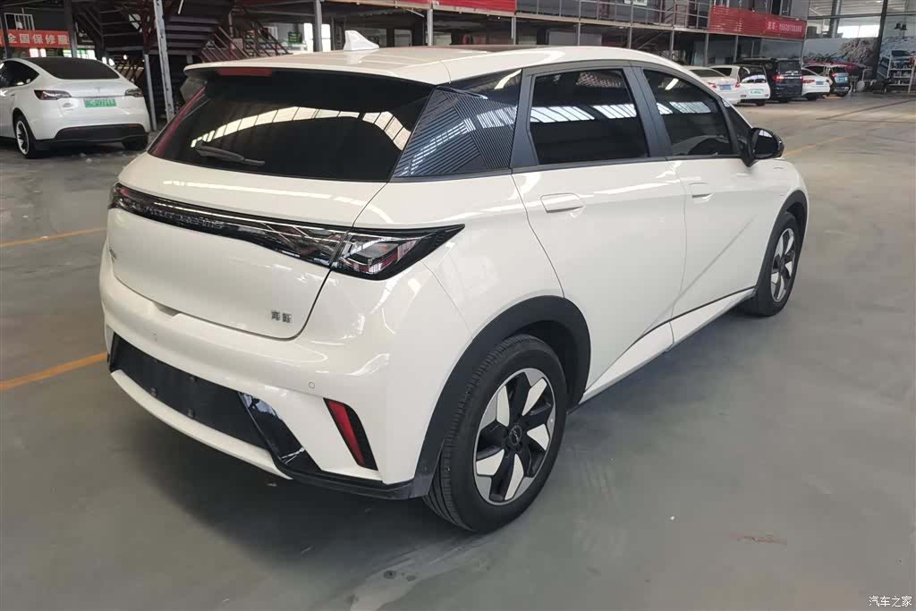 BYD Dolphin, 2024 3