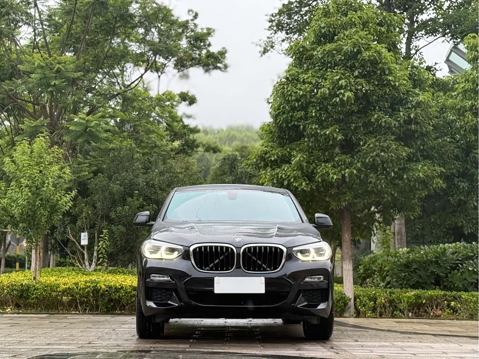 BMW X4, 2019 2