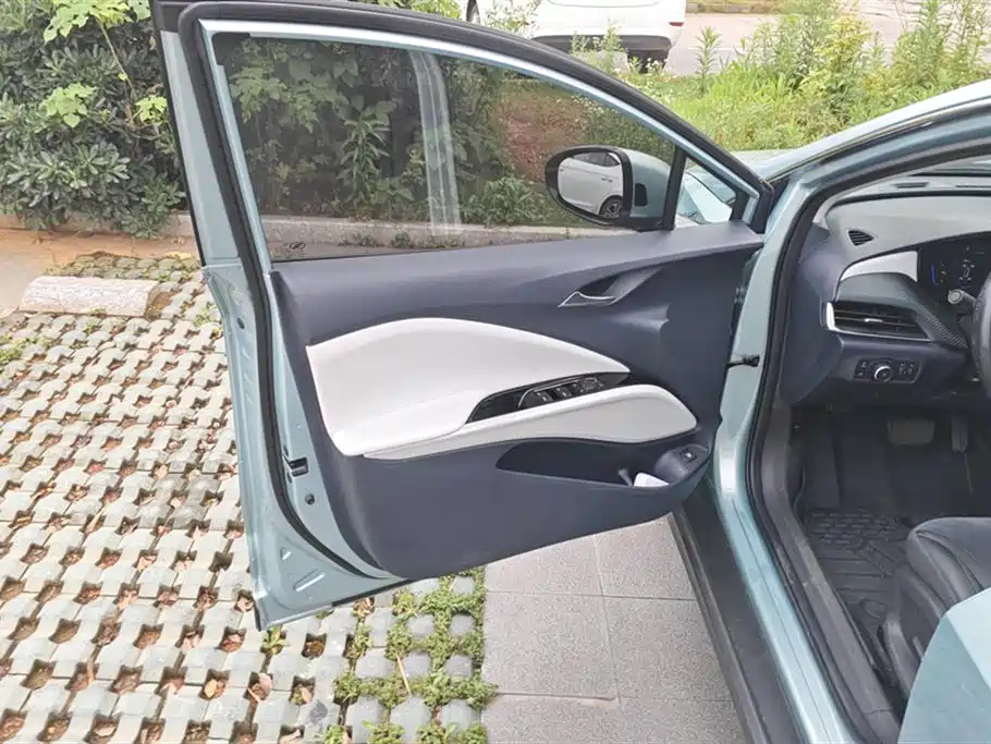 Buick Slightly blue 6