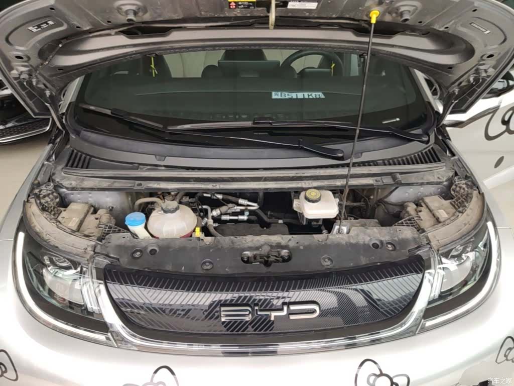 BYD Dolphin, 2024 20