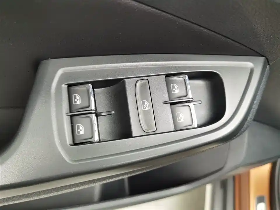 Volkswagen C-TREK Wei Collar