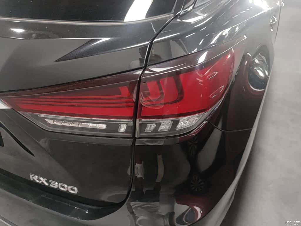 Lexus RX, 2021 8