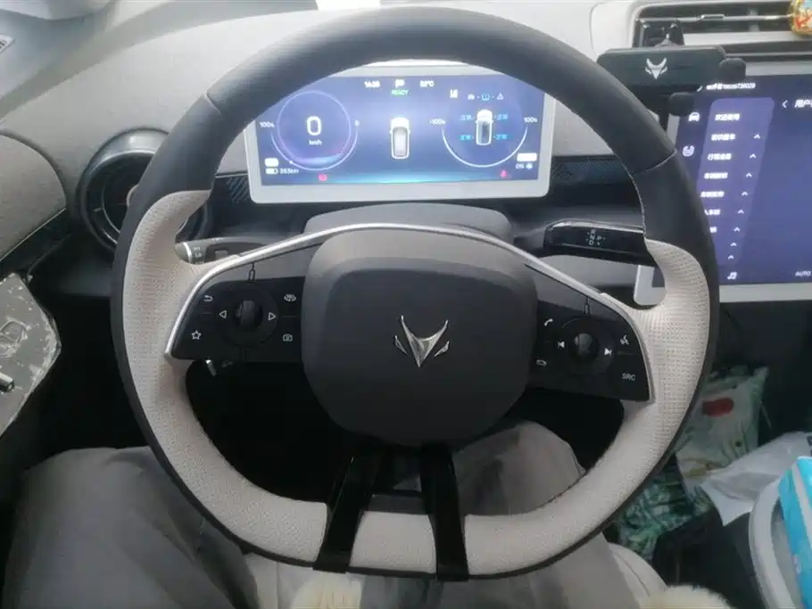 ARCFOX Polar fox koala