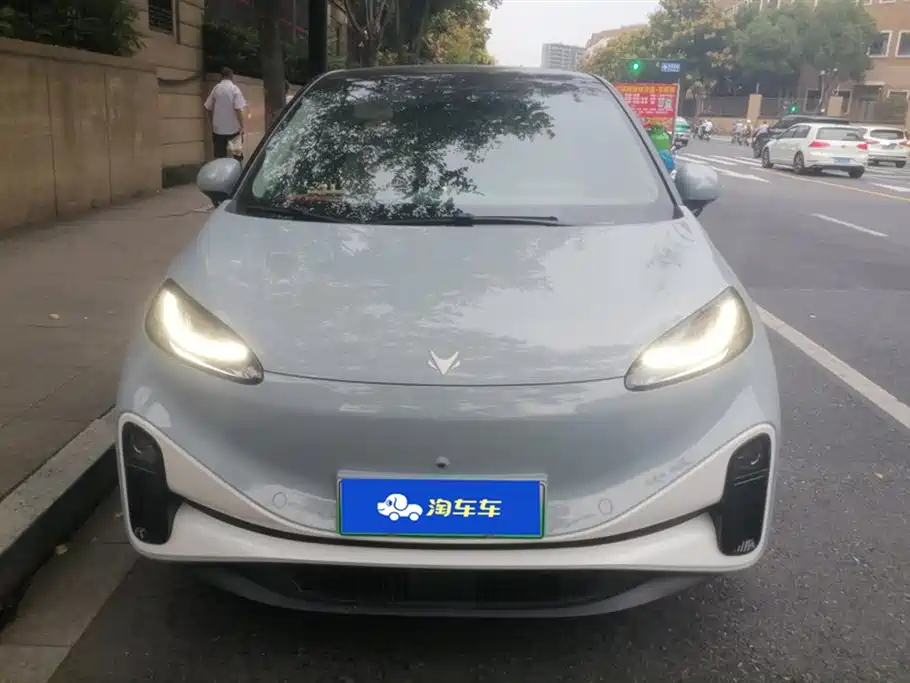 ARCFOX Polar fox koala