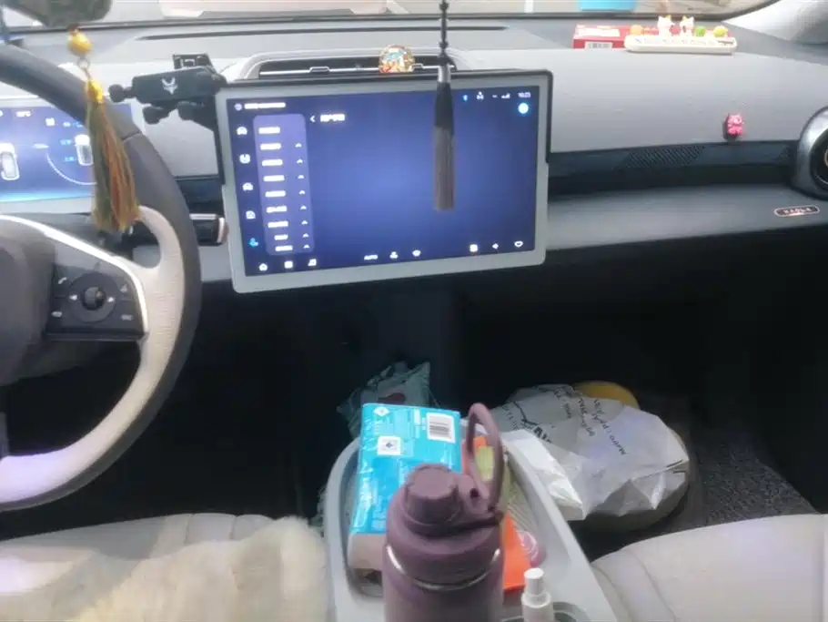 ARCFOX Polar fox koala