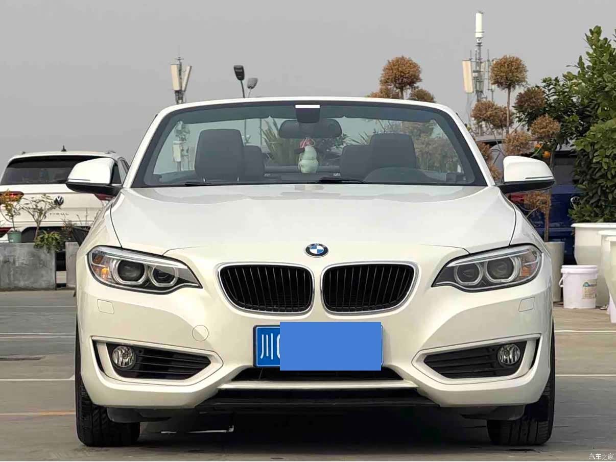 BMW 2 Series, 2017 2