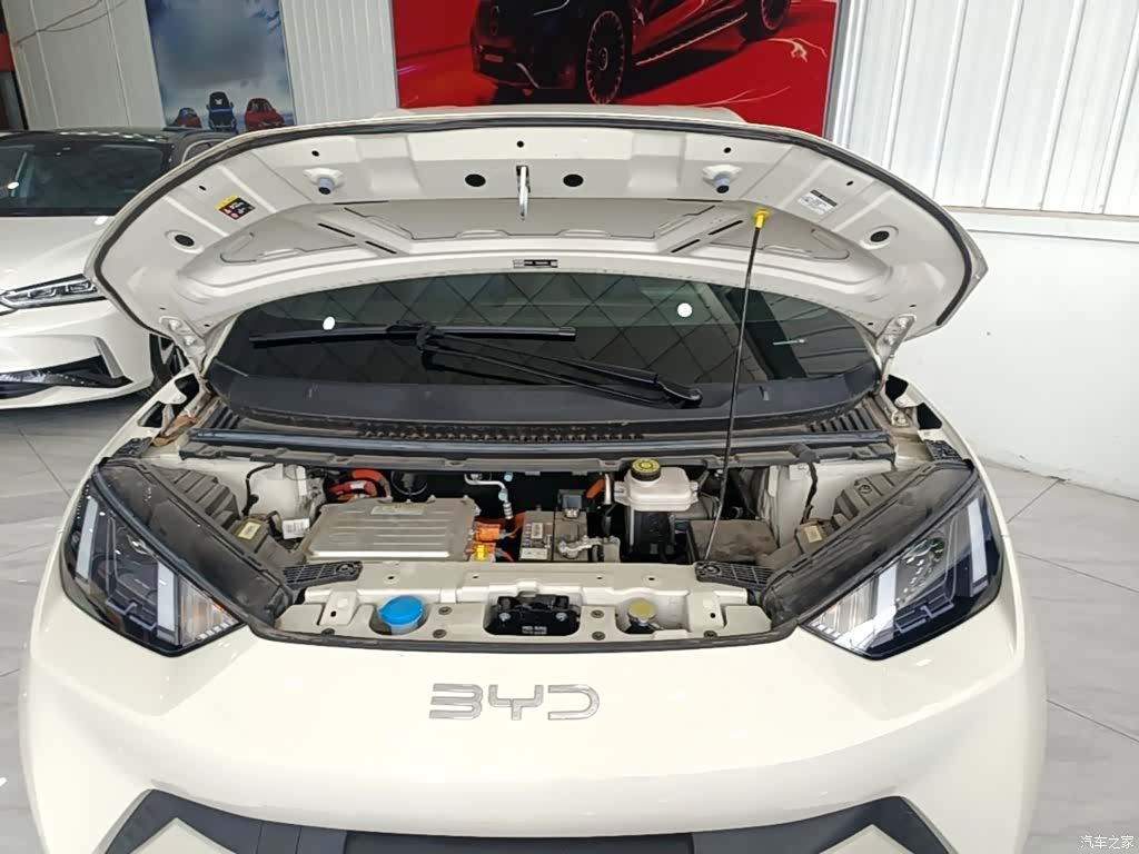 BYD Seagull, 2024 16