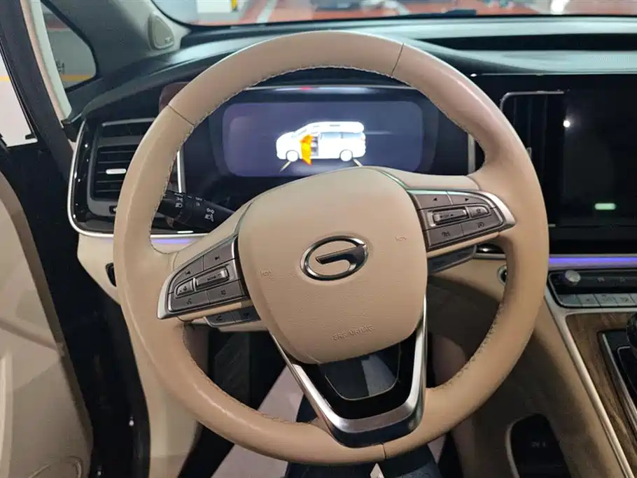 Trumpchi Trumpchi M8