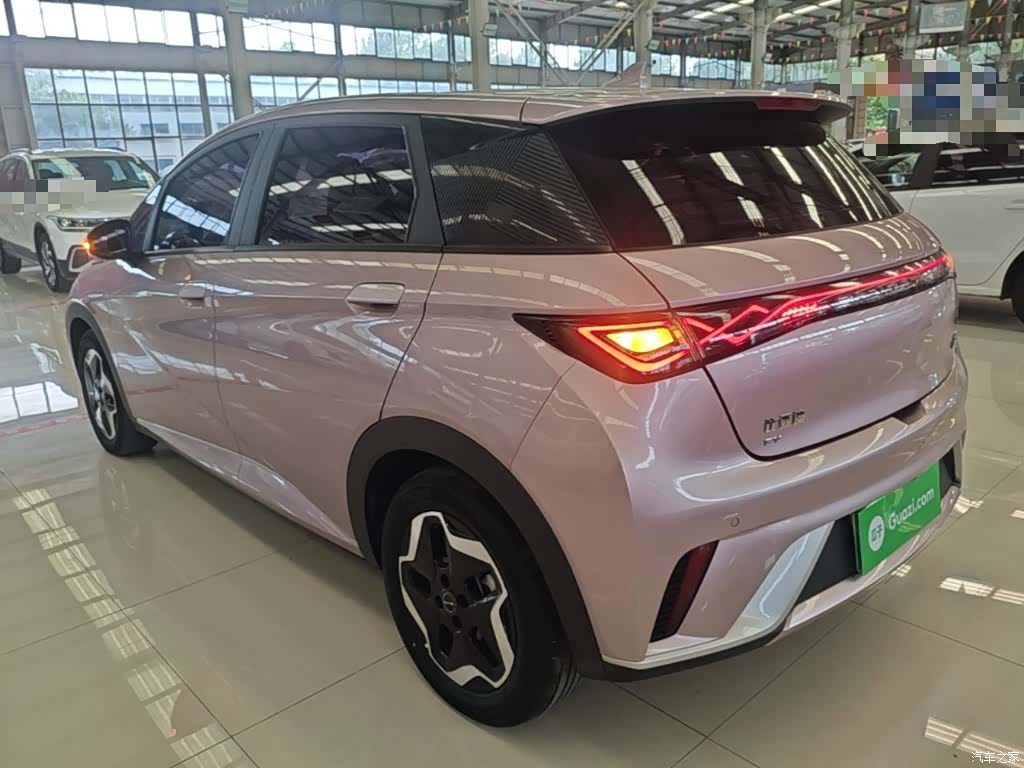 BYD Dolphin, 2022 все фото