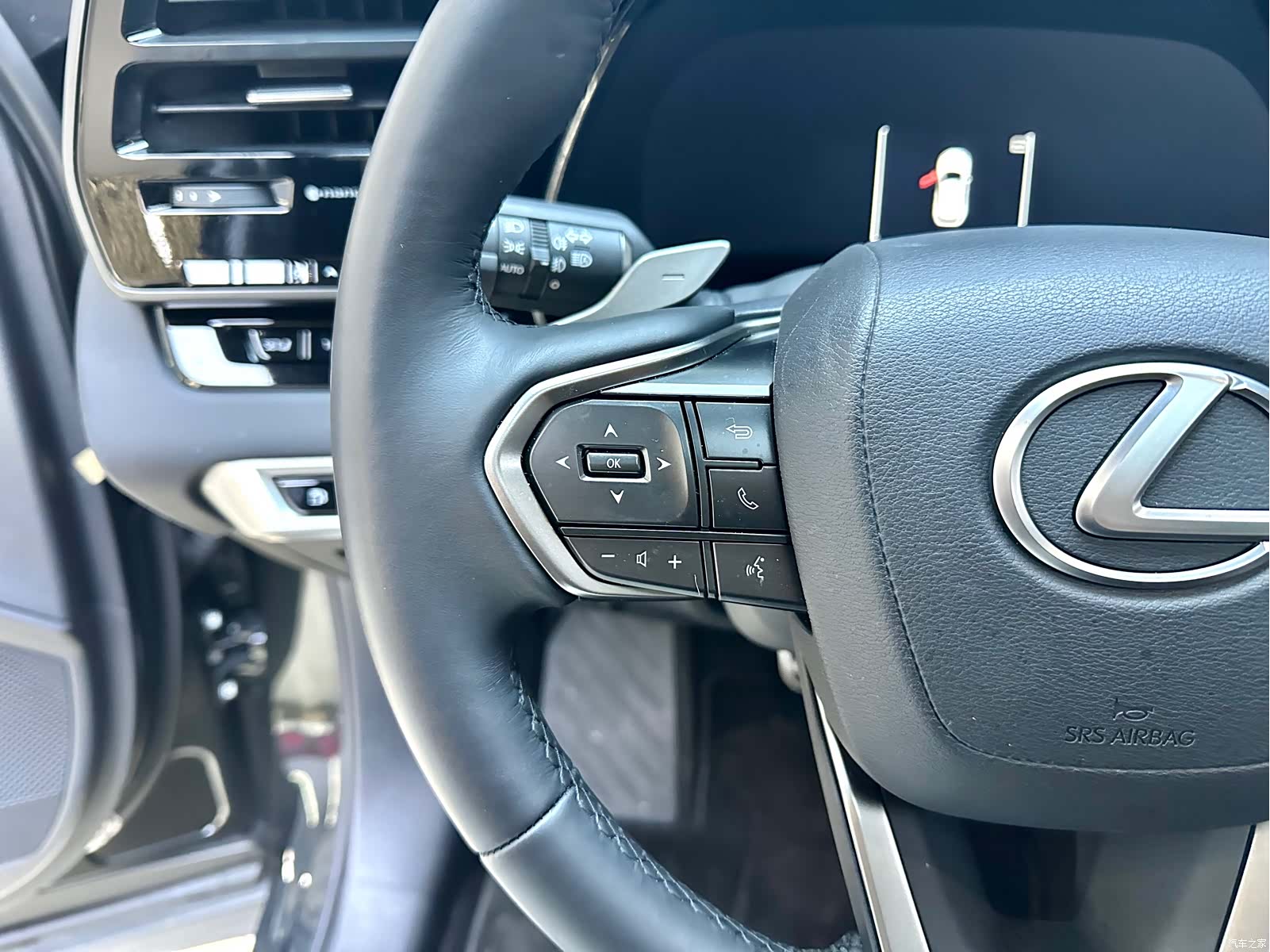 Lexus RX, 2025 15