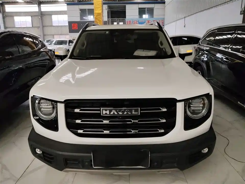 Haval Big dog