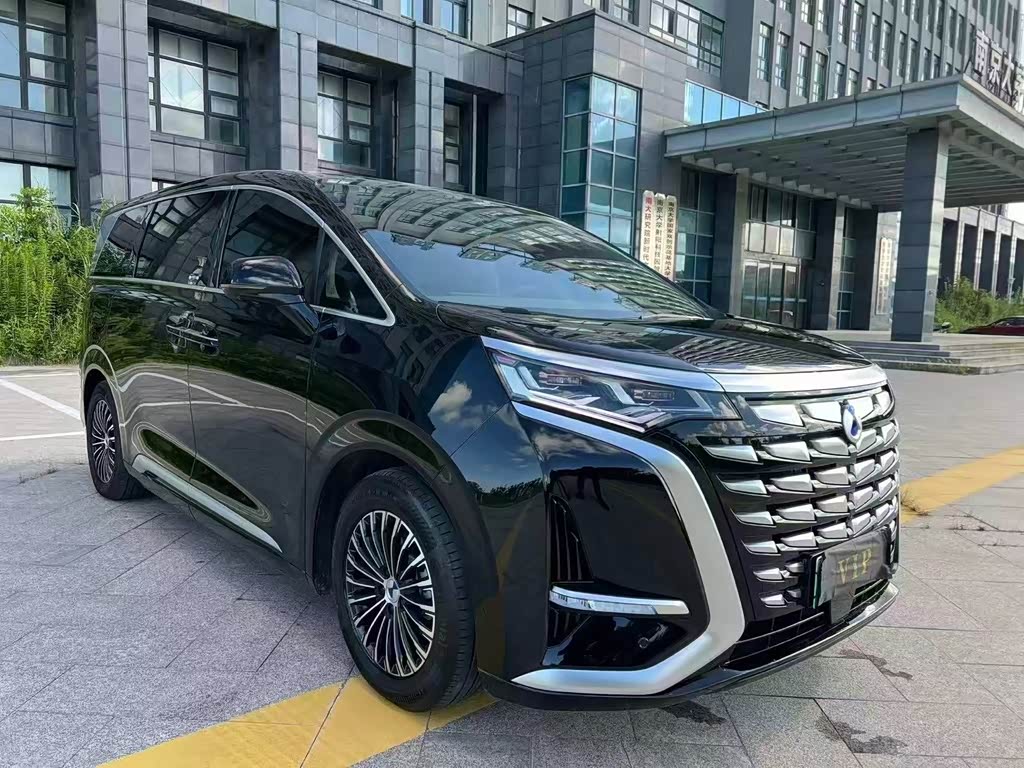 Denza D9