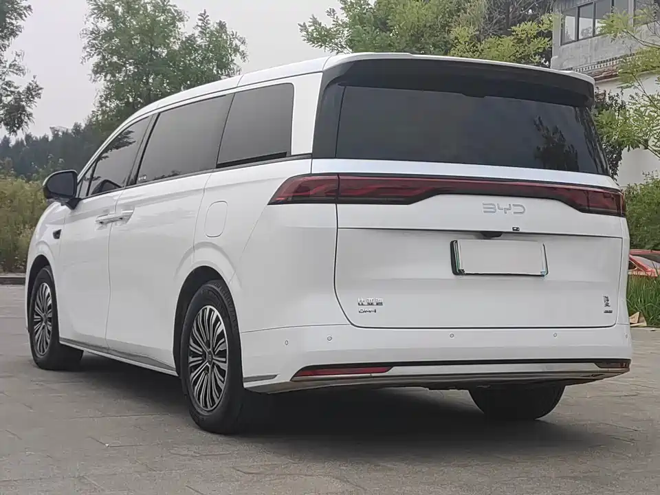 BYD summer BYD summer