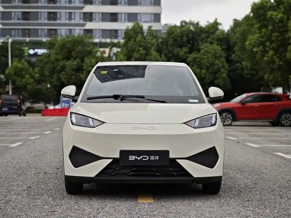 BYD Seagull