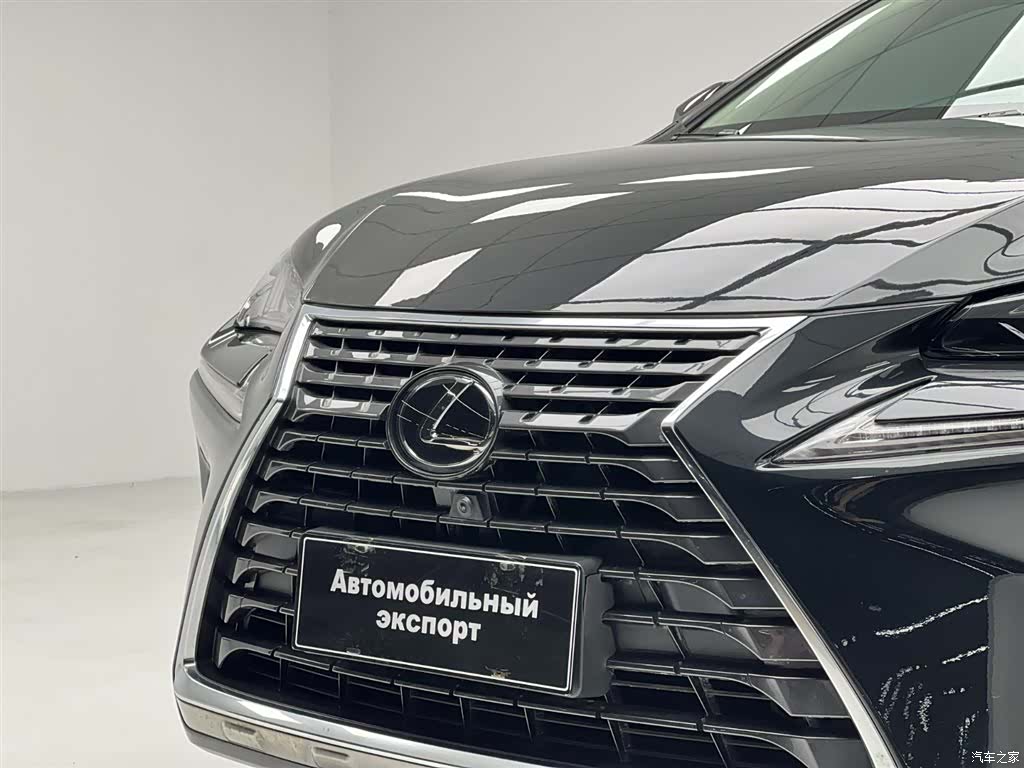 Lexus NX, 2021 все фото
