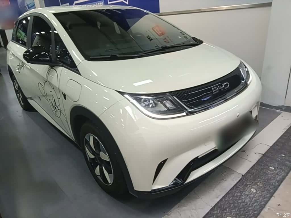 BYD Dolphin, 2025 4