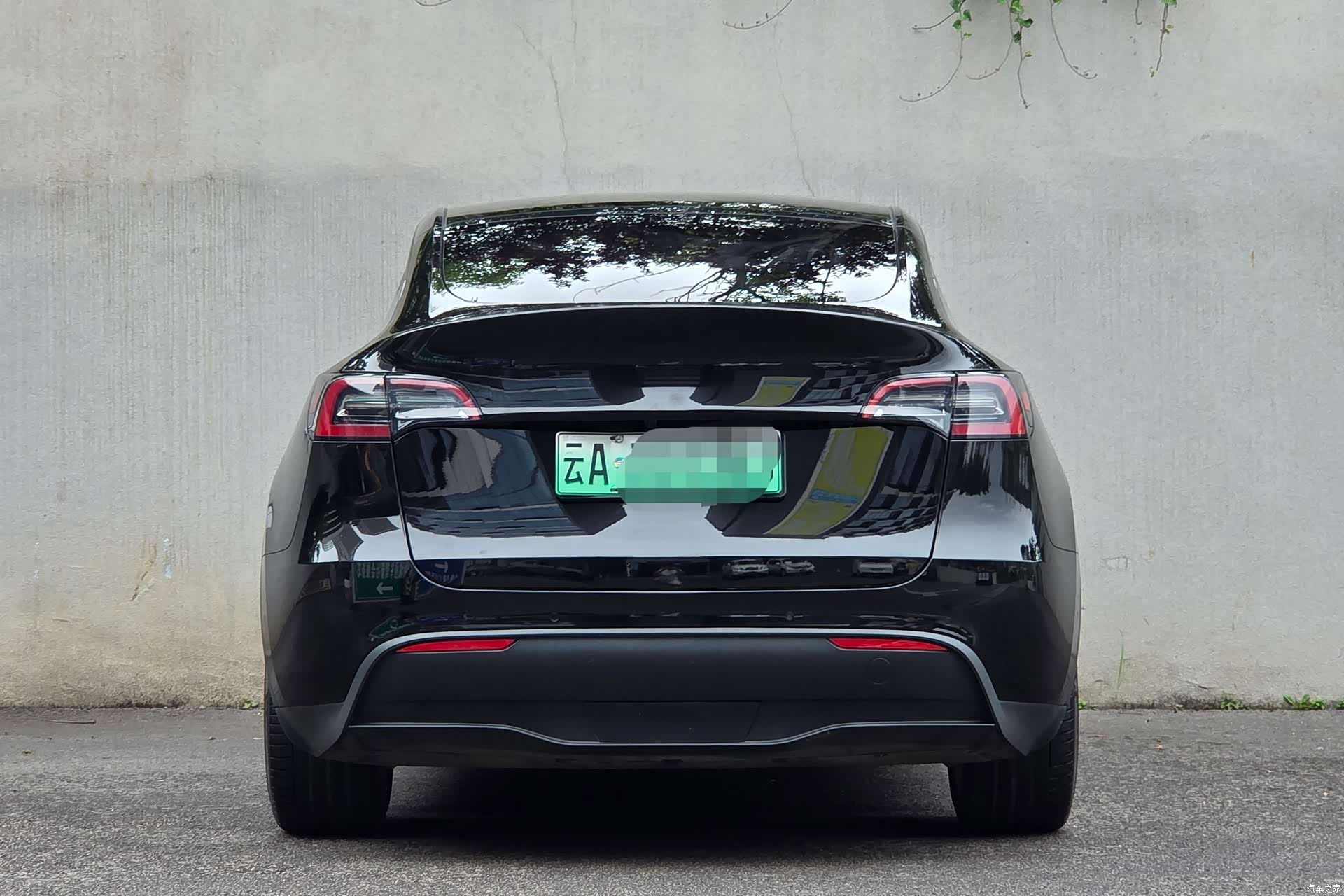 Tesla Model Y, 2021 все фото