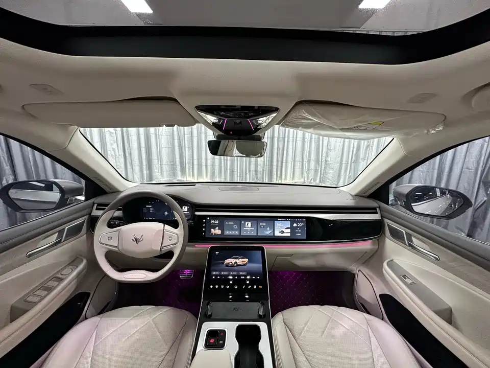 ARCFOX Polar Fox Alpha T6