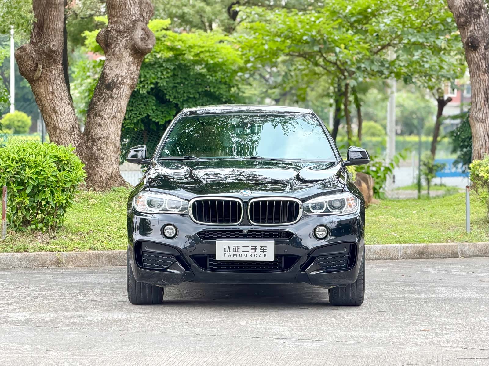 BMW X6, 2019 2