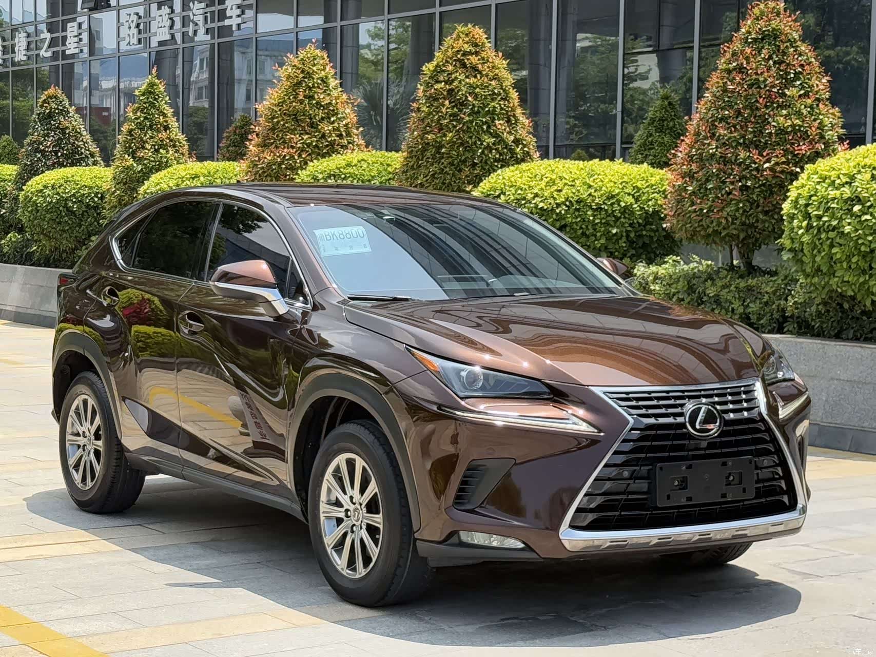 Lexus NX, 2019 3