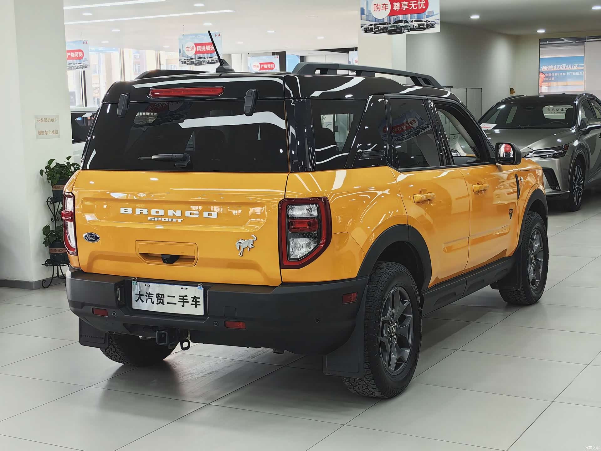 BroncoLieMa Bronco, 2023 3