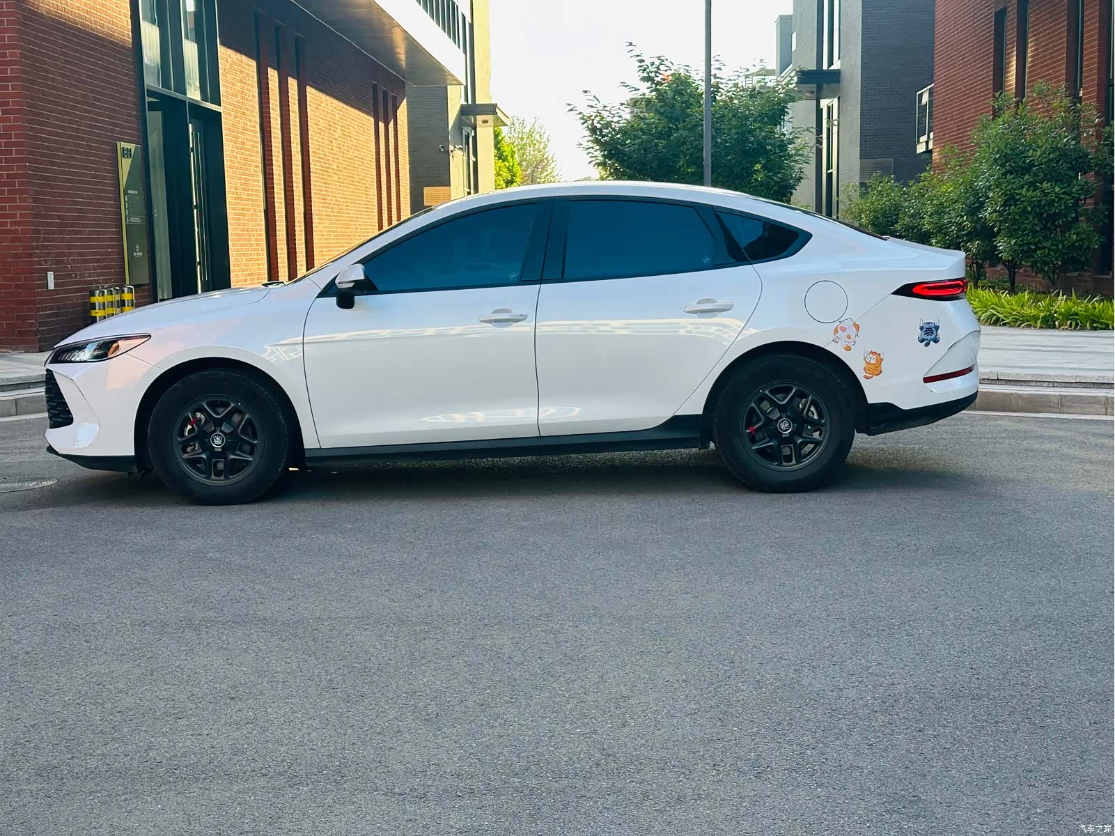 BYD Qin, 2025 8