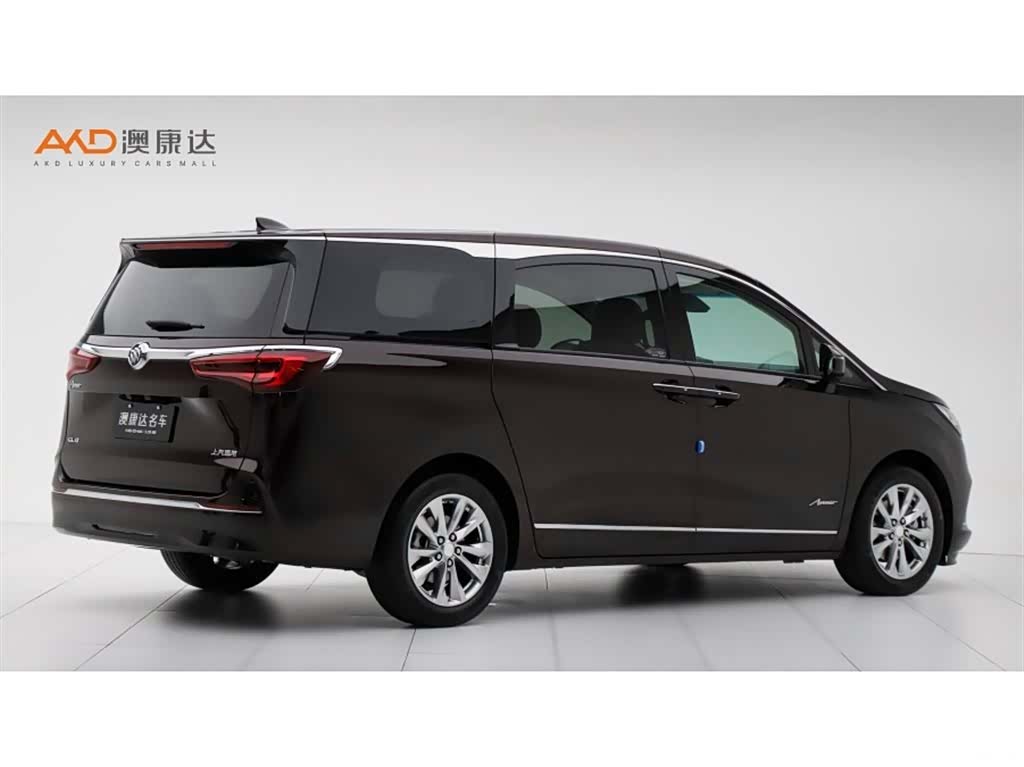 Buick GL8, 2020 3