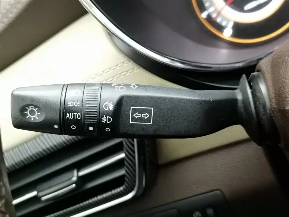 Leopaard Cheetah CS9