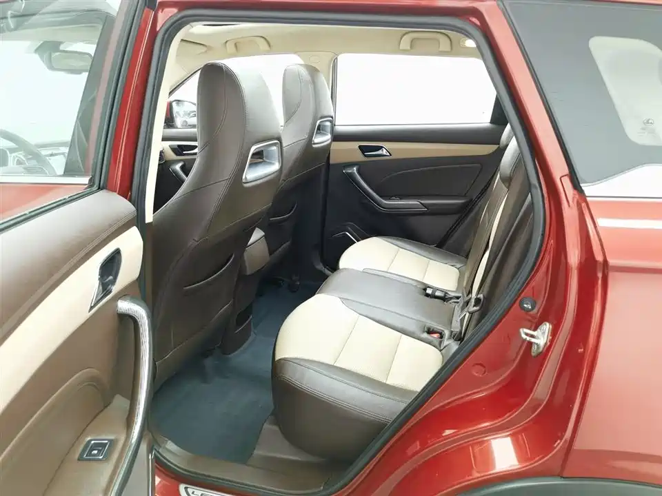 Leopaard Cheetah CS9