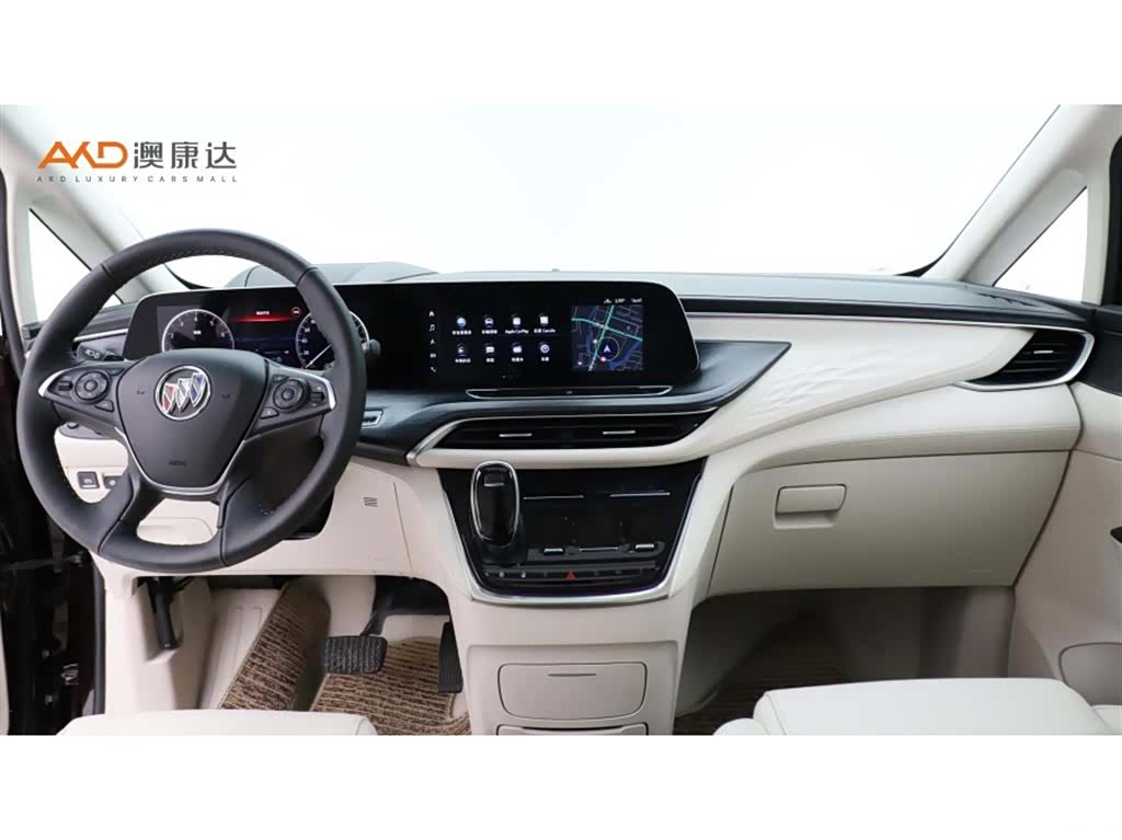 Buick GL8, 2020 все фото