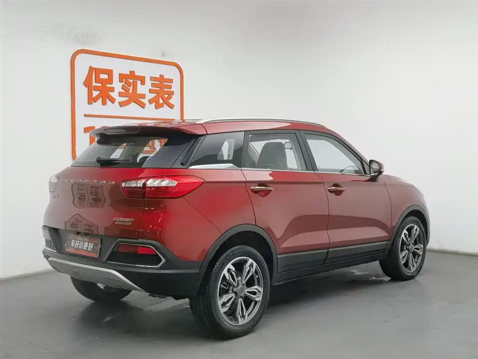 Leopaard Cheetah CS9