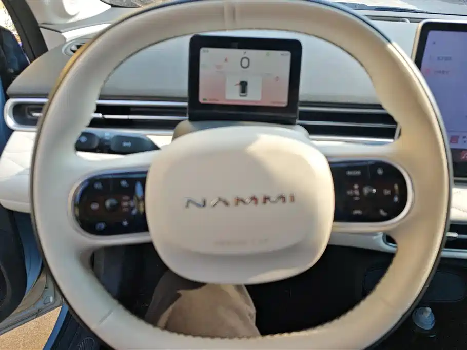 Dongfeng Nammi Nano 01