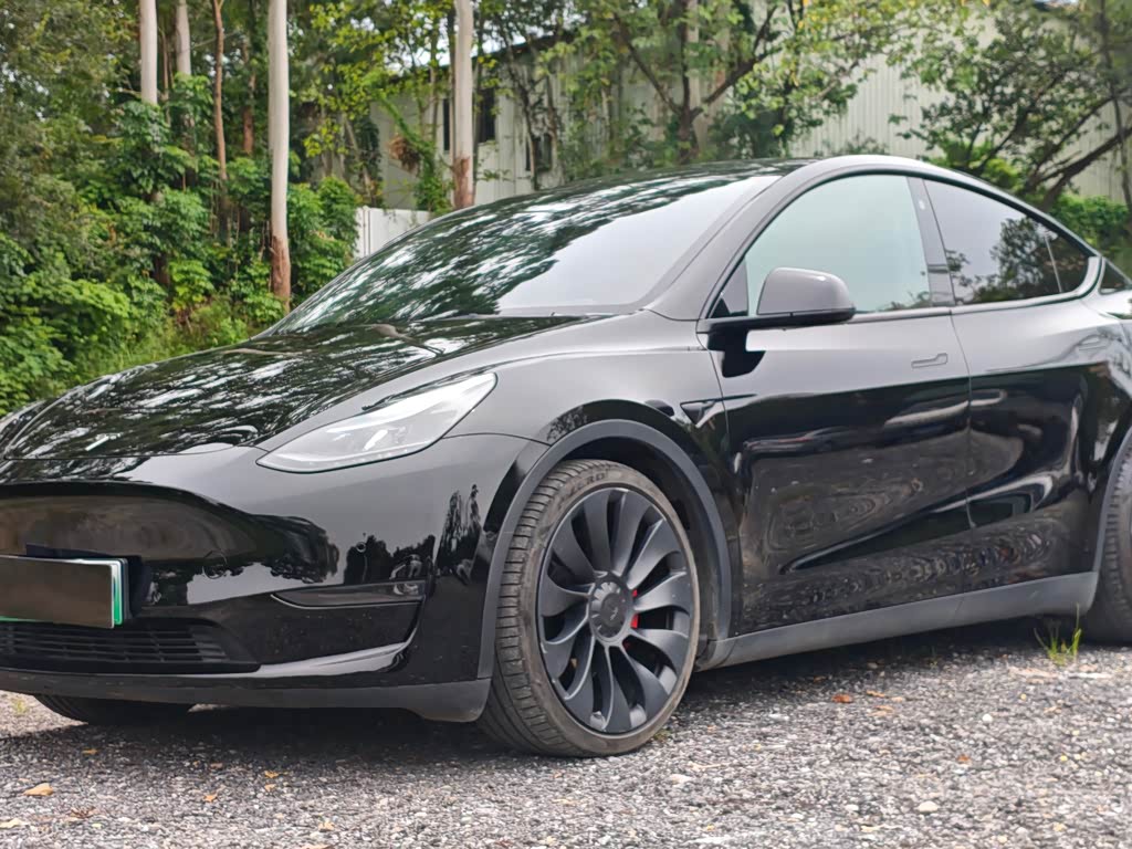 Tesla Model Y 2021 Performance
