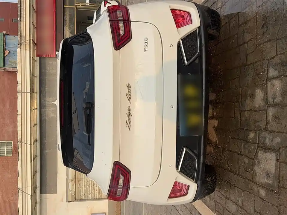 Zotye T300